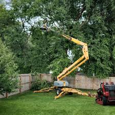 Best Palm Tree Trimming  in Brentwood, TN